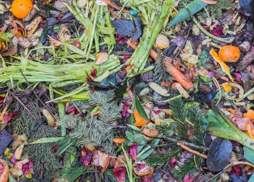 Compost Heap